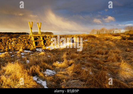 Schnee im Frühjahr auf die Mendip Hills bei Ubley Warren Nature Reserve in der Nähe der Kartause, Somerset, England. Stockfoto