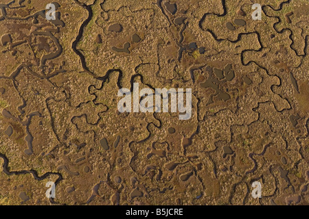 Aerial Landschaft zeigt der Gezeitenzone von Bächen und Salzwiesen zwischen Toynbee und Blakeney an der Nordküste Norfolk Stockfoto