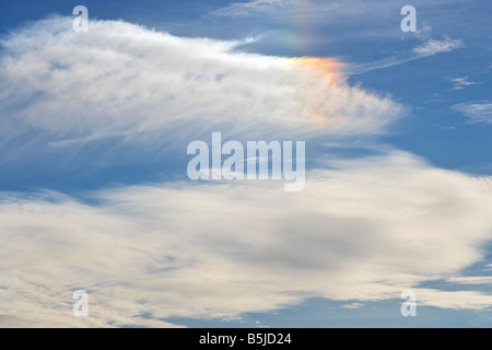 Großer Höhe Wolken und Regenbogen farbige Sonne Hund oder Parhelion verursacht durch Eiskristalle reflektiert Sonnenlicht Stockfoto
