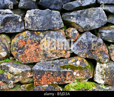 Detail von einem typischen Kalkstein Trockenmauer auf einem Bauernhof in der Nähe von Ingleton in den Yorkshire Dales National Park, England Stockfoto