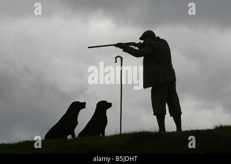 Förster Mike Nisbet mit seinen Hunden auf dem Tarabuckle schlagen Airlie Anwesen in Angus während die Moorhühner schießen Saison Stockfoto