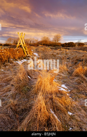 Winter morgen auf die Mendip Hills in der Kartause in Somerset, England. Stockfoto