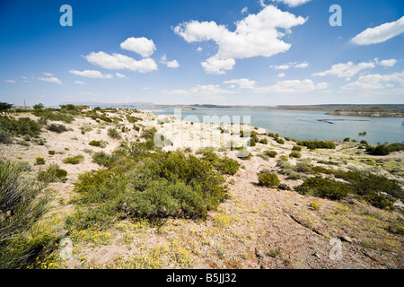 Elephant Butte Lake State Park in New Mexico, USA Stockfoto