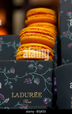 Macarons auf dem Display an spezialisierte Hersteller Laduree Rue Royale Paris Frankreich Stockfoto