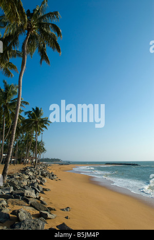 Strand in Negombo, Sri Lanka Stockfoto