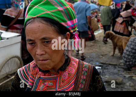 Flower Hmong Frau Bac Ha Dorf in Nord-Vietnam Stockfoto