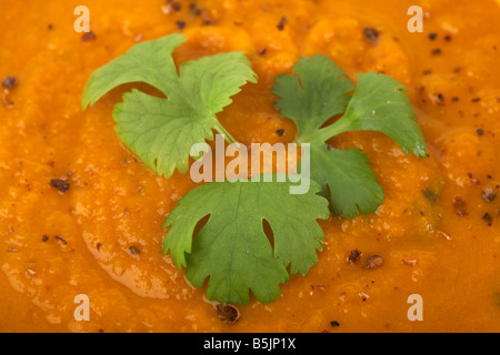 Bio Karotten und Koriander Suppe mit frischem Korianderblätter Stockfoto