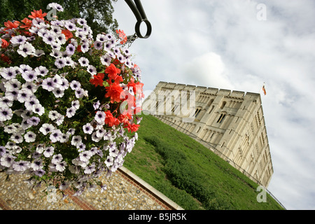 Stadt von Norwich, England. Schloss-Wiese Blütenpracht mit Norwich Schloss-Museum und die Kunstgalerie im Hintergrund. Stockfoto