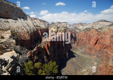 Zion Canyon von der Spitze von Angels Landing. Southern Utah Stockfoto