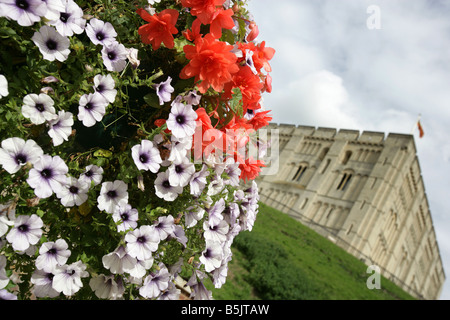 Stadt von Norwich, England. Schloss-Wiese Blütenpracht mit Norwich Schloss-Museum und die Kunstgalerie im Hintergrund. Stockfoto