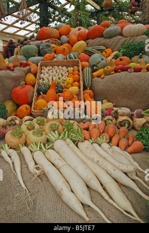 eine Ernte-Anzeige bei Heligan Gärten, Cornwall, uk Stockfoto