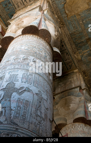 Geschnitzte Säulen in der Hypostyle Hall in Dendera oder Dendara Hathor Tempel der Göttin Hathor in der Provinz Qena Ägypten gewidmet Stockfoto