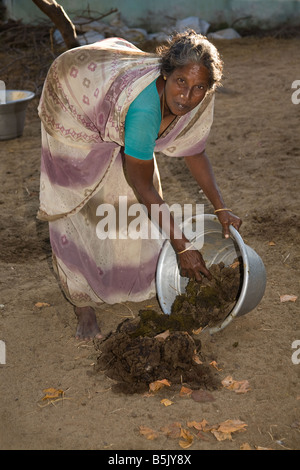 Typisches Indianerdorf arbeiten eine Frau sammeln Kuhmist in Cuddalore Region Tamil Nadu zu verkaufen Stockfoto