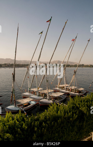 Traditionelle hölzerne Feluke segeln Boote angedockt am Nil in Assuan Ägypten Stockfoto