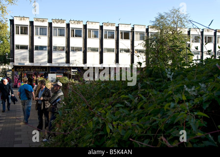 Beispiel der Architektur aus den 1960er Jahren in Gloucester, England. Stockfoto