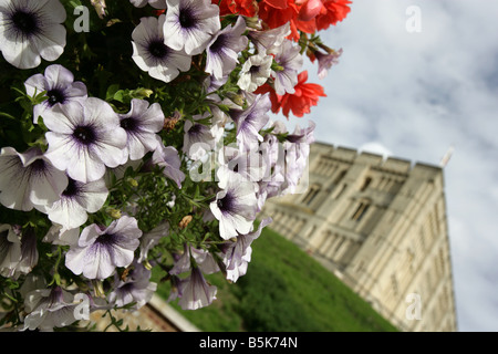 Stadt von Norwich, England. Schloss-Wiese Blütenpracht mit Norwich Schloss-Museum und die Kunstgalerie im Hintergrund. Stockfoto