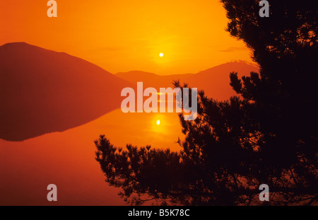 Winter-Sonnenaufgang über See durch Pinien Bäumen, Wales, UK. Stockfoto