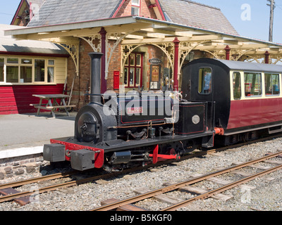 Schmalspur-Dampfzug an Llanuwchllyn Station von Bala Lake Railway betrieben. Stockfoto