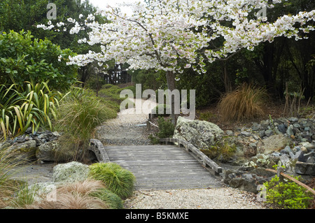 Spring Blossom Miyazu japanischer Garten Nelson Südinsel Neuseeland Stockfoto