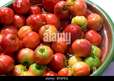 Acerola berris in eine keramische Schüssel Stockfoto