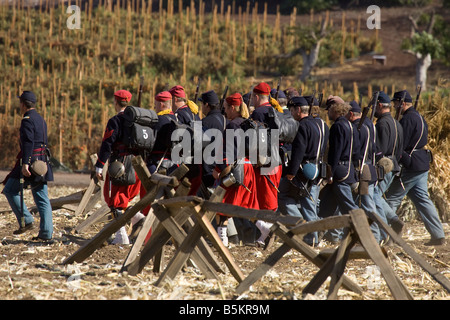 Französische Zuaven im amerikanischen Bürgerkrieg Stockfoto