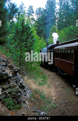 Dampflokomotive, Fahrt mit dem Zug, Zug, Black Hills Central Railroad, Hill City, Keystone, Black Hills, South Dakota, Vereinigte Staaten Stockfoto