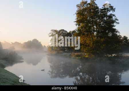 Nebligen Morgen auf dem Fluss Wey in Surrey, England. Stockfoto