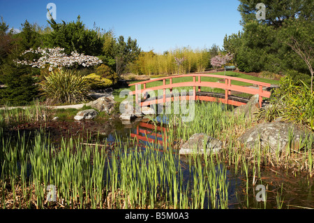 Miyazu japanischer Garten Nelson Südinsel Neuseeland Stockfoto