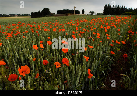 Rancourt CWGC Friedhof auf dem Somme Schlachtfeld, umgeben von einem Feld von Mohn, Picardie, Nord-Frankreich. 2006 Stockfoto