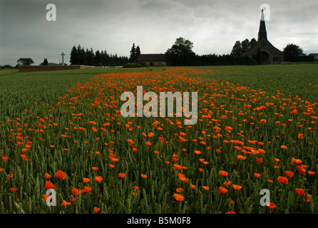 Mohnblumen Friedhöfe Rancourt Somme Battlefields CWGC WW1 Opfer mutigen erinnern Erinnerung Ehre Stockfoto