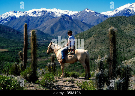 Gaucho auf der Hacienda Los Andes Rio Hurtado-Chile Stockfoto