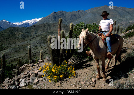 Reiter auf der Hacienda Los Andes Rio Hurtado-Chile Stockfoto