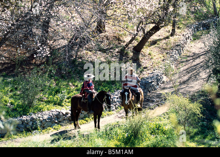 Hacienda Los Andes Rio Hurtado-Chile Stockfoto