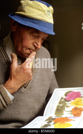 Älterer Mann im Garten Buch, UK. Stockfoto
