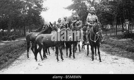 2 G55 H1 1914 7 E indische Soldaten Maultiere WWI 1914 Geschichte Weltkrieg Hilfs-Truppen 1914 Sous Hausdienstes Indien et ses Mulets In Stockfoto