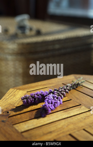 Ein Zweig der Lavendel auf einem Holztisch. Stockfoto