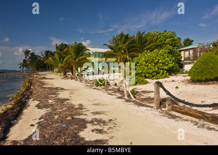 CAYE CAULKER BELIZE Blick auf Strand Stockfoto
