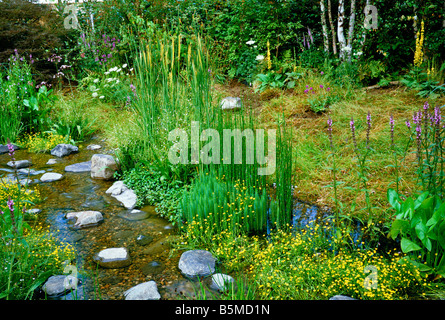 Wassergarten mit natürlicher Bepflanzung Stockfoto