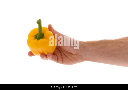 Mans männlichen richtige ausgestreckte Hand hält eine gelbe Paprika Gemüse vor einem weißen Hintergrund Stockfoto