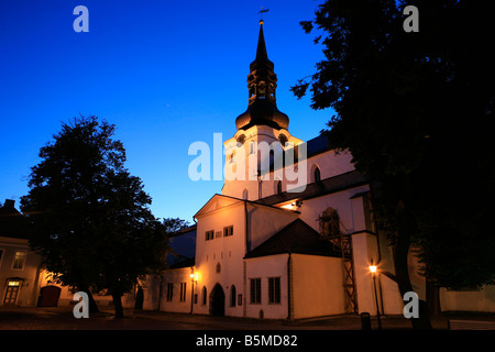 Die mittelalterlichen Römisch-katholische Saint Mary's Kathedrale in Tallinn, Estland Stockfoto