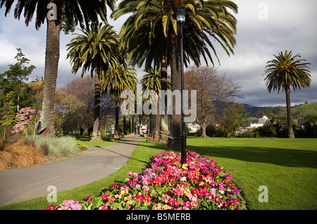 Frühlingsblumen und Palmen Bäume Anzac Square Nelson Südinsel Neuseeland Stockfoto