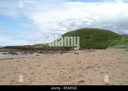 Coldingham Bay, Berwickshire, Schottland Stockfoto