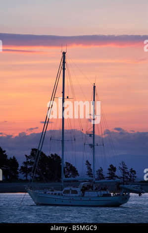 Yacht und Haulashore Insel am Sonnenuntergang Nelson Südinsel Neuseeland Stockfoto