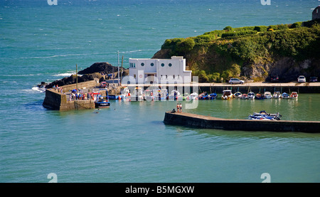 Sommerzeit im Boatstrand Hafen, Kupfer Küste, Grafschaft Waterford, Irland Stockfoto