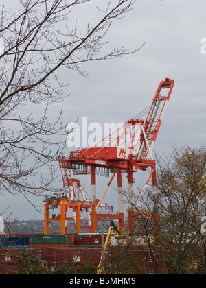 Schweres Heben Kräne im Hafen von Halifax in Nova Scotia Kanada Stockfoto