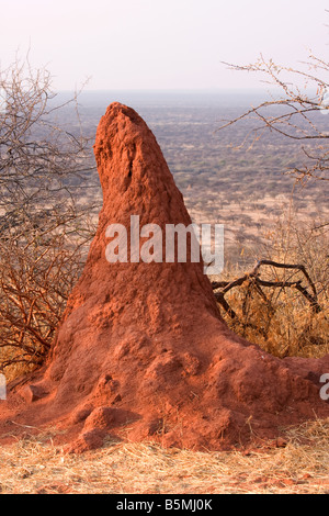 Termite Mound befindet sich im Etosha Nationalpark, Namibia. Stockfoto