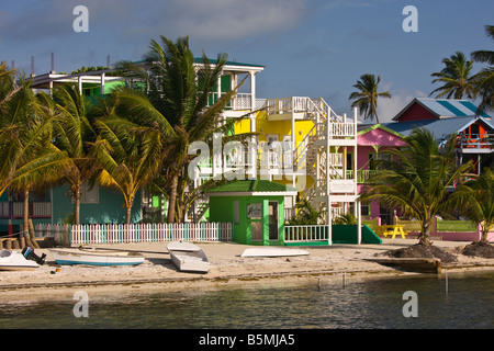 CAYE CAULKER BELIZE Hotels und Palmen Bäume am Strand Stockfoto