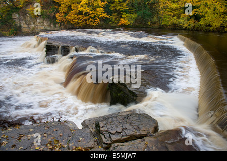 Die Wasserfälle auf dem Fluß Senke im Herbst nach schweren Regen Richmond Yorkshire Stockfoto