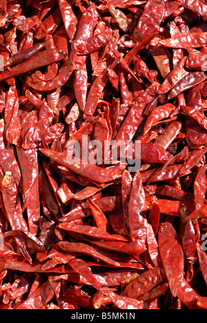 Getrocknete Chilis in einem Freiluftmarkt Stockfoto
