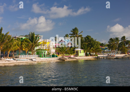 CAYE CAULKER BELIZE Hotels und Palmen Bäume am Strand Stockfoto